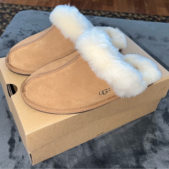 Ugg Scuffette II in Chestnut Size 7 New in box - Picture 8 of 16